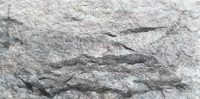 Crossard Mushroom Stone