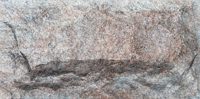 Crossard Mushroom Stone