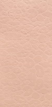 Butterfly Stone