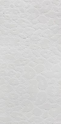 Butterfly Stone
