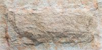 Crossard Mushroom Stone