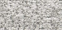 Stone Ridged