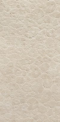 Butterfly Stone